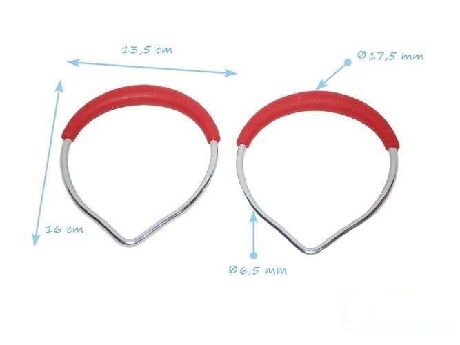 Metal Gym rings (without ropes)