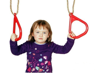 Plastic Gym rings